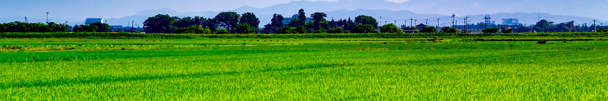 JA鶴岡