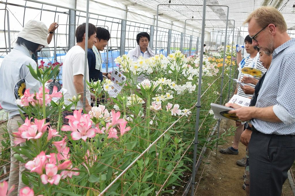 アルストロメリア品種検討会を開く Ja鶴岡 山形県庄内のお米産地